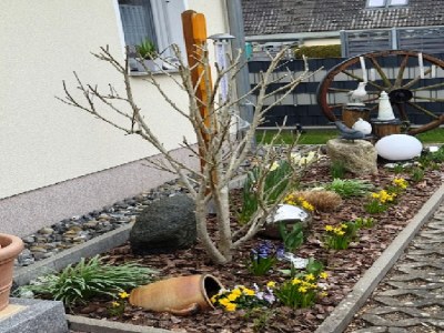 Holiday house Gemuetliche Doppelhaushälfte in Lubmin - Outdoor photo 9