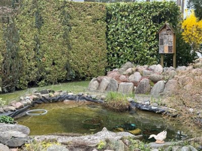 Holiday house Gemuetliche Doppelhaushälfte in Lubmin - Outdoor photo 10