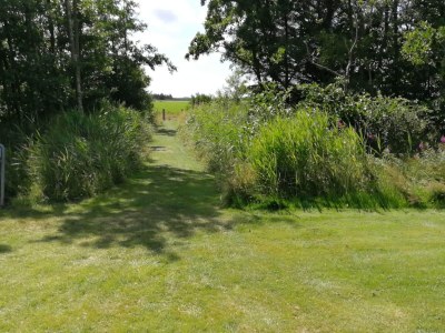 Holiday house Luxurioser Spa-Ruckzug -- By Traum Ferienwohnungen - Outdoor photo 12