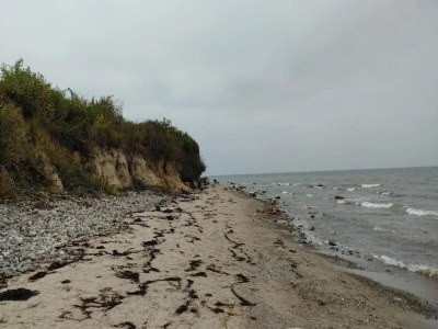 Apartment Appartements Post Hiddensee in Vitte - Environment photo 10