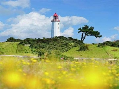 Apartment Appartements Post Hiddensee in Vitte - Environment photo 22