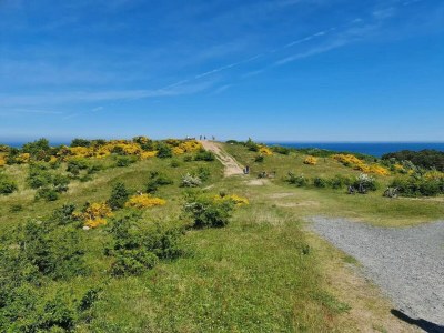 Apartment Appartements Post Hiddensee in Vitte - Environment photo 25