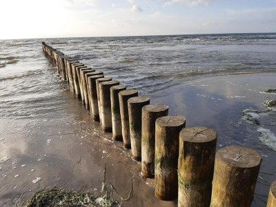Apartment Appartements Post Hiddensee in Vitte - Environment photo 28