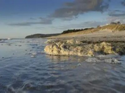 Apartment Appartements Post Hiddensee in Vitte - Environment photo 31