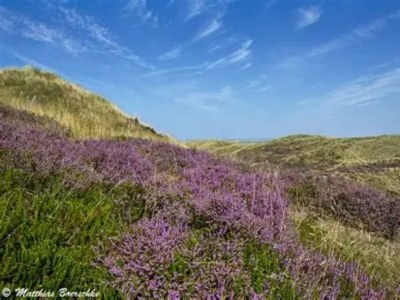 Apartment Appartements Post Hiddensee in Vitte - Environment photo 33