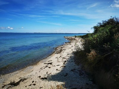 Apartment Appartements Post Hiddensee in Vitte - Environment photo 34