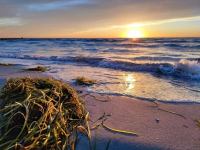 Apartment Appartements Post Hiddensee in Vitte - Environment photo 37