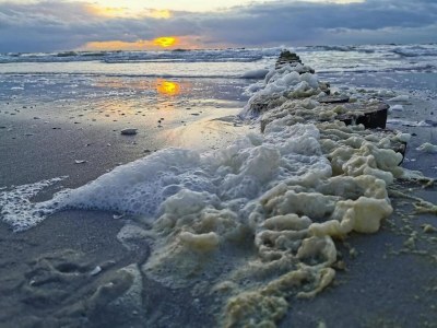 Apartment Appartements Post Hiddensee in Vitte - Environment photo 39