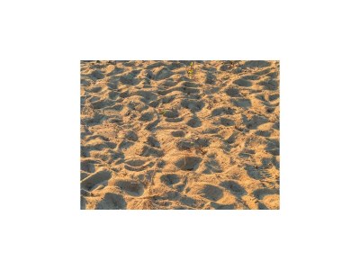 Holiday house Ferienhaus Seewind mit Sauna am Dümmer See - Environment photo 26