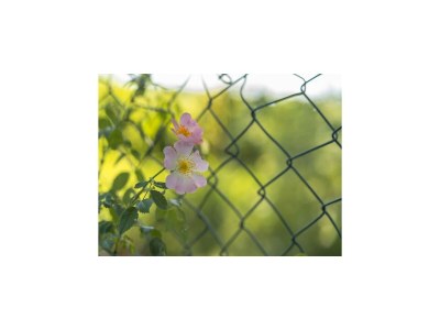 Holiday house Ferienhaus Seewind mit Sauna am Dümmer See - Environment photo 27