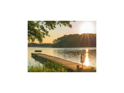 Holiday house Ferienhaus Seewind mit Sauna am Dümmer See - Environment photo 28