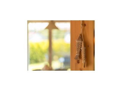 Holiday house Ferienhaus Seewind mit Sauna am Dümmer See - Outdoor photo 41