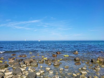 Apartment Appartements Post Hiddensee, Vitte - Environment photo 15