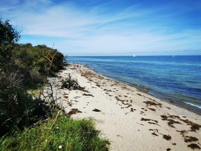 Apartment Appartements Post Hiddensee, Vitte - Environment photo 16