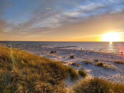 Apartment Appartements Post Hiddensee, Vitte - Environment photo 18