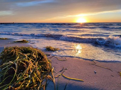 Apartment Appartements Post Hiddensee, Vitte - Environment photo 32