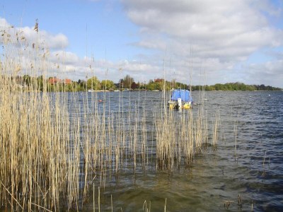 Holiday house Ferienhaus Barbara, Zarrentin - Environment photo 44