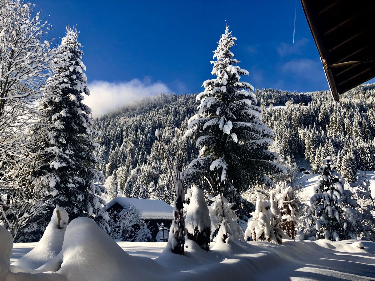 Cottage Rowanberry - Outdoor photo 4