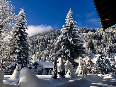 Cottage Rowanberry - Outdoor photo 4