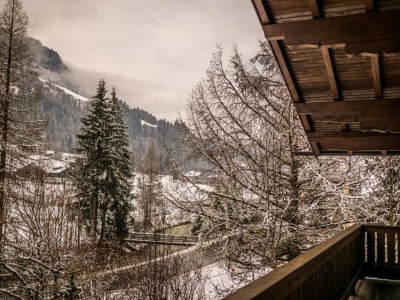 Cottage Rowanberry - Environment photo 35