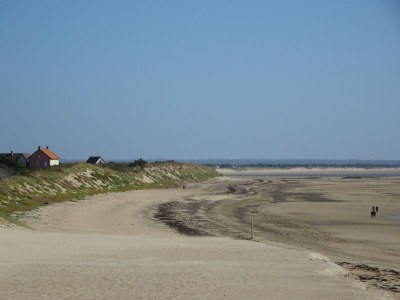 Holiday house Manor in Cotentin with Historic Charm - Environment photo 34