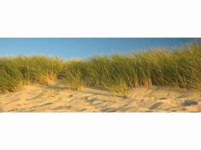 Apartment Wohnung in Colijnsplaat am See mit Sauna - Environment photo 31