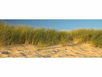 Apartment Wohnung in Colijnsplaat am See mit Sauna - Environment photo 32