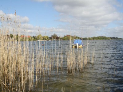 Holiday house Ferienhaus Tversted in Zarrentin - Environment photo 19