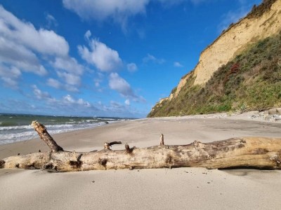 Holiday house Tranquil Haven in Knebel - By Traum Ferienwohnungen - Outdoor photo 5