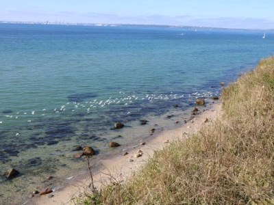 Holiday house Tranquil Haven in Knebel - By Traum Ferienwohnungen - Outdoor photo 34