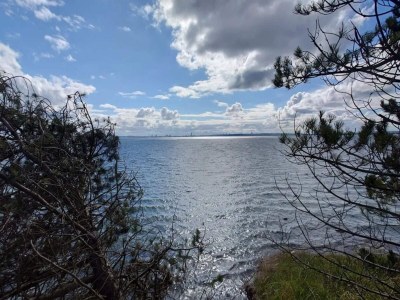 Holiday house Tranquil Haven in Knebel - By Traum Ferienwohnungen - Outdoor photo 39