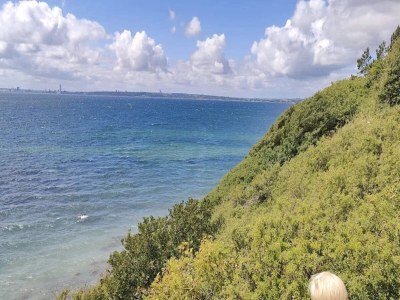 Holiday house Tranquil Haven in Knebel - By Traum Ferienwohnungen - Outdoor photo 41