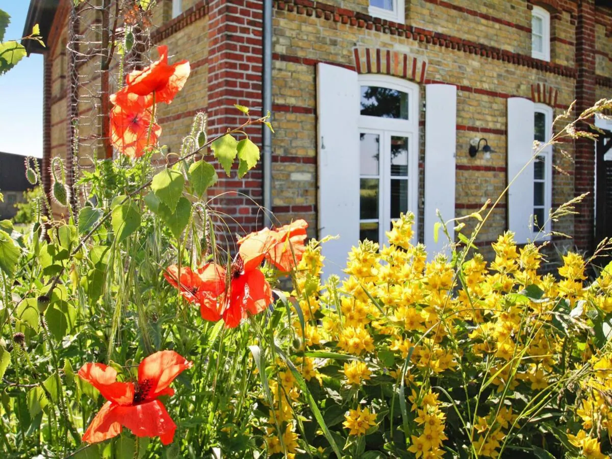 Apartment Wohnung in Zahrensdorf bei drei Seen - Outdoor photo 2