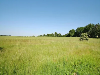 Apartment Wohnung in Zahrensdorf bei drei Seen - Environment photo 13