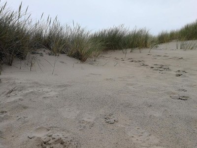 Holiday house 10 person holiday home in Fjerritslev-By Traum - Outdoor photo 19