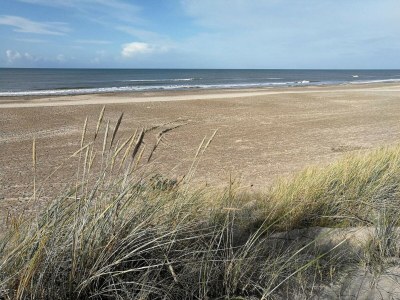 Holiday house 10 person holiday home in Fjerritslev-By Traum - Outdoor photo 36