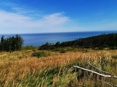 Holiday house 10 person holiday home in Fjerritslev-By Traum - Outdoor photo 39