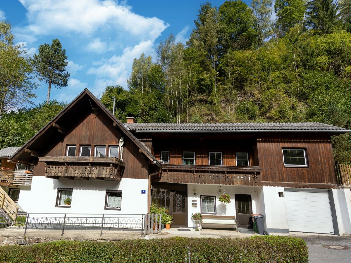 Apartment Wohnung Feld am See nahe Skipisten