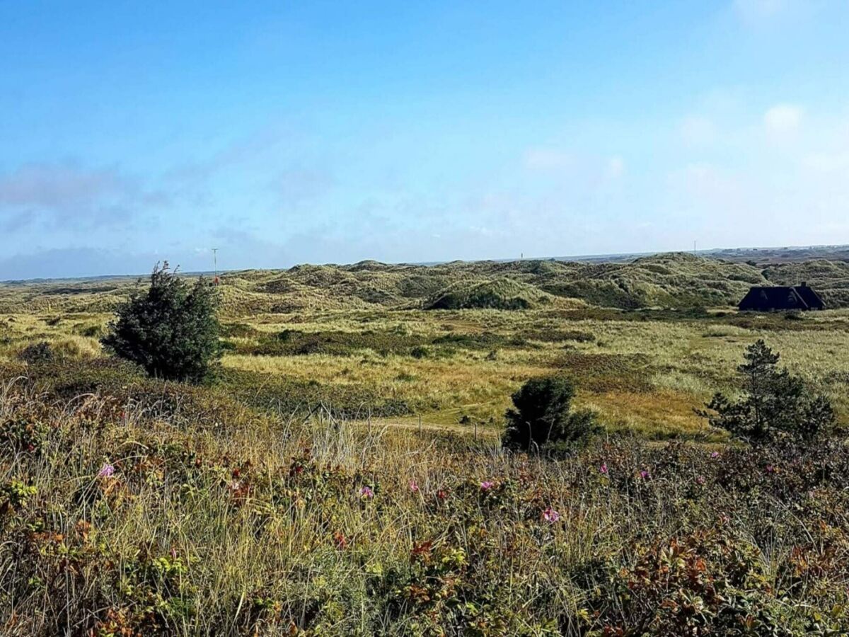 Holiday house 6 person holiday home in Oksbøl-By Traum - Outdoor photo 4