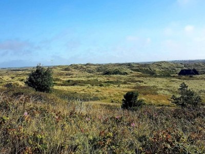 Holiday house 6 person holiday home in Oksbøl-By Traum - Outdoor photo 4