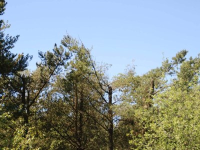 Holiday house 6 person holiday home in Oksbøl-By Traum - Outdoor photo 26