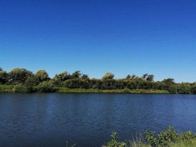 Holiday house 6 person holiday home in Oksbøl-By Traum - Outdoor photo 27