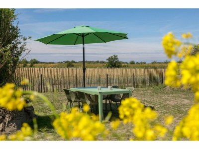Holiday house Tiny House in Zeeland near Oranjezon Dunes - Outdoor photo 3