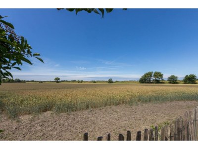 Holiday house Tiny House in Zeeland near Oranjezon Dunes - Environment photo 26