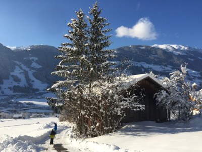 Holiday apartment Garden apartment Sonnalm - Apart Rauch - Environment photo 32