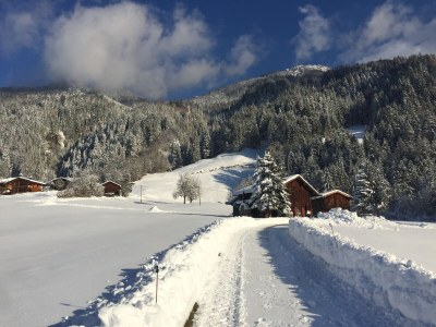 Holiday apartment Garden apartment Sonnalm - Apart Rauch - Environment photo 33