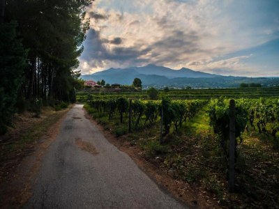 Apartment Sizilianischer Rückzugsort: Pool & Garten - Environment photo 35