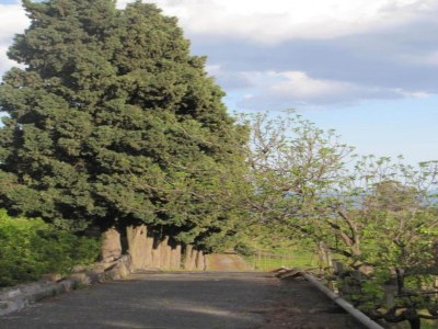 Apartment Sizilianischer Rückzugsort: Pool & Garten - Environment photo 36