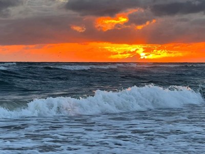 Holiday house 4 Personen Ferienhaus in Fanø-By Traum - Outdoor photo 23
