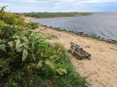 Holiday house 6 person holiday home in Hemmet-By Traum - Outdoor photo 19